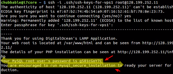 MySQL password
